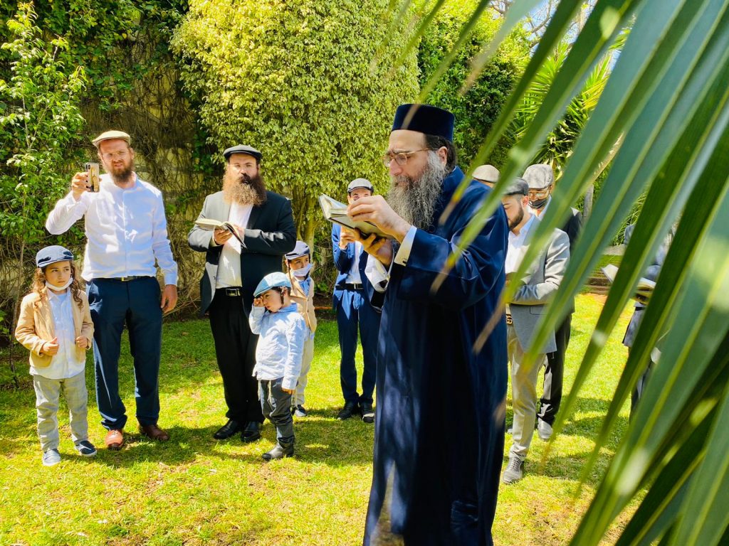 ראב"ד מרוקו בברכת האילונות