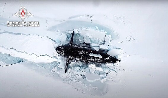 תיק יד שעולה יותר ממטוס, פרה חולצה מבריכה • בעולם