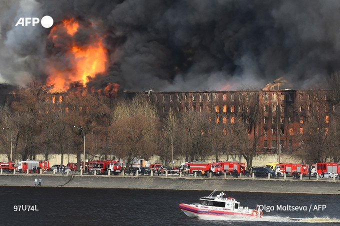 תיק יד שעולה יותר ממטוס, פרה חולצה מבריכה • בעולם