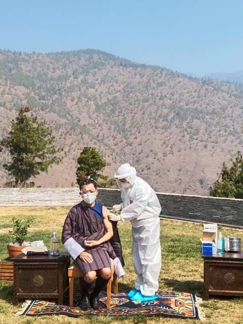 תיק יד שעולה יותר ממטוס, פרה חולצה מבריכה • בעולם