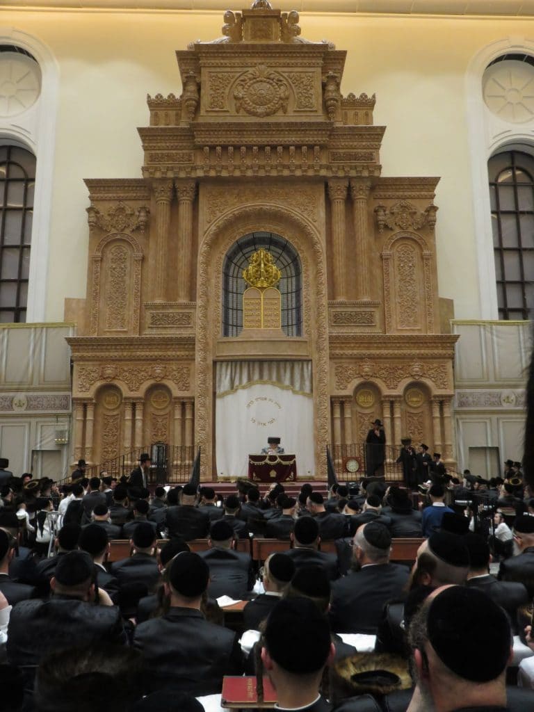 הגר"מ שטרנבוך לאדמו"ר מויז'ניץ: הבית מדרש הזה כמו אלכסנדריה של מצרים