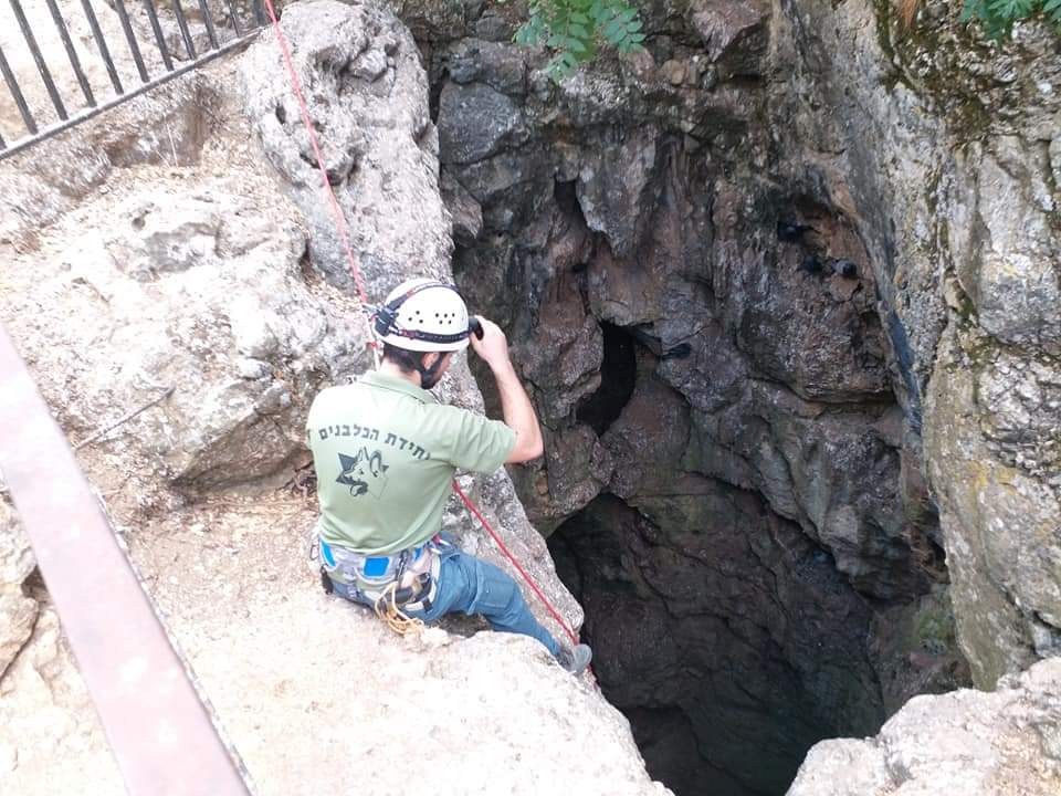 בקשה מיוחדת מהעולים מירונה: "סייעו בחיפושים אחר אדם שנעלם בל"ג בעומר תשע"ט"