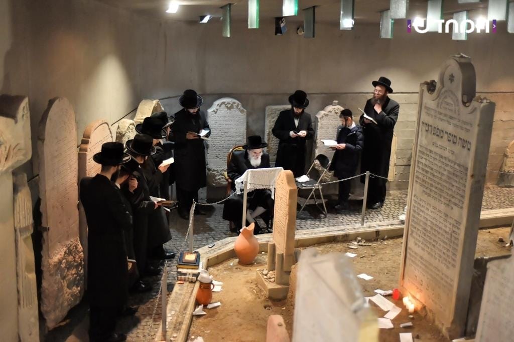 האדמו"ר מויז'ניץ בביקור בוינה • גלריה