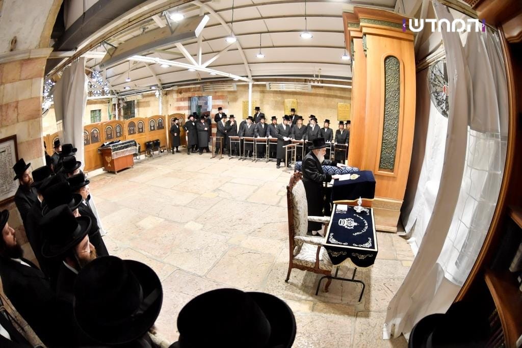 הטיש החסידי הראשון במערת המכפלה • גלריה מרהיבה מ"ועידת הנאמנים" של ויזניץ