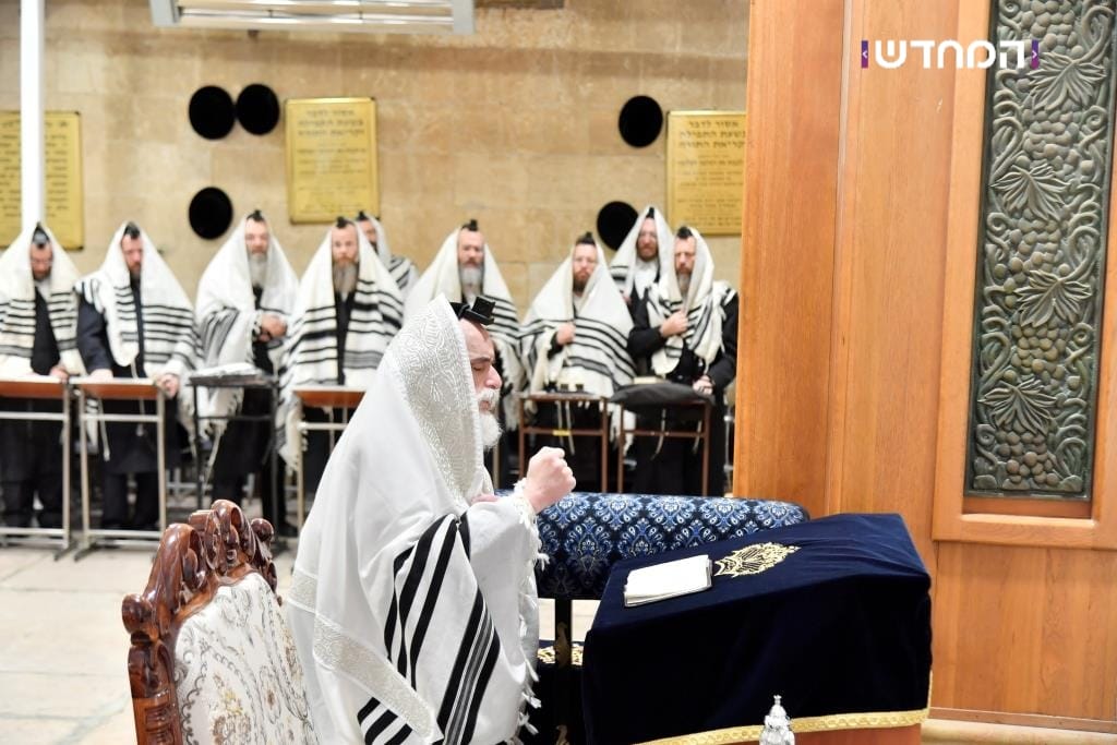 הטיש החסידי הראשון במערת המכפלה • גלריה מרהיבה מ"ועידת הנאמנים" של ויזניץ