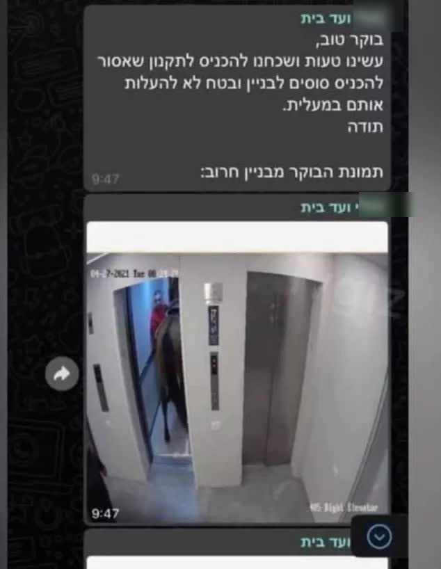 סוס במעלית במגדל בתל אביב: המשטרה עצרה חשודים • צפו