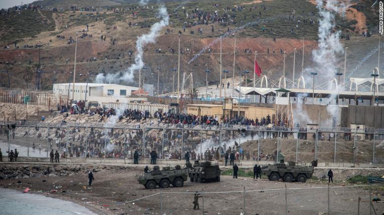 ציור של דובי למכירה ב-16 מיליוני דולרים • בעולם