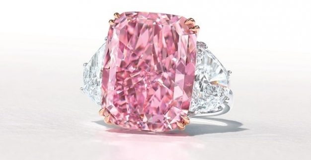 סגר הוטל בגלל הלוויה של 'סוס' • כותרות מהעולם