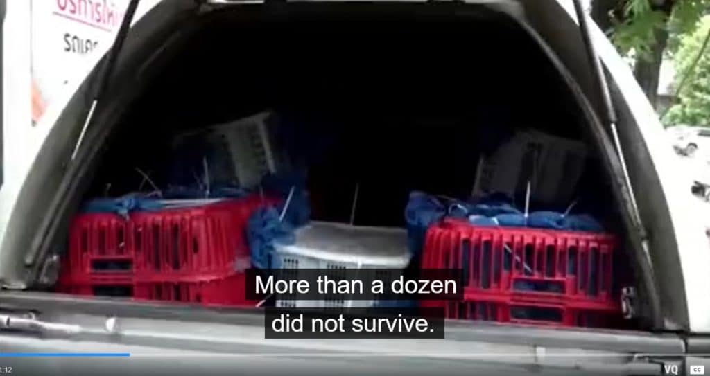 ביידן עצר בקיוסק לקנות גלידה • כותרות מהעולם