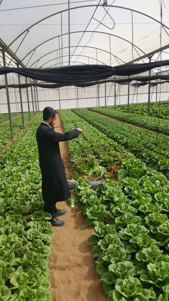 תיעוד: המשגיח ניצל מפגיעה ישירה של טיל