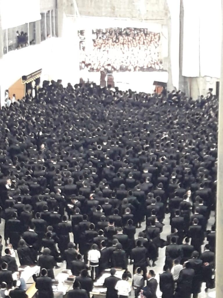 צפו: אלפים בבית המדרש גור