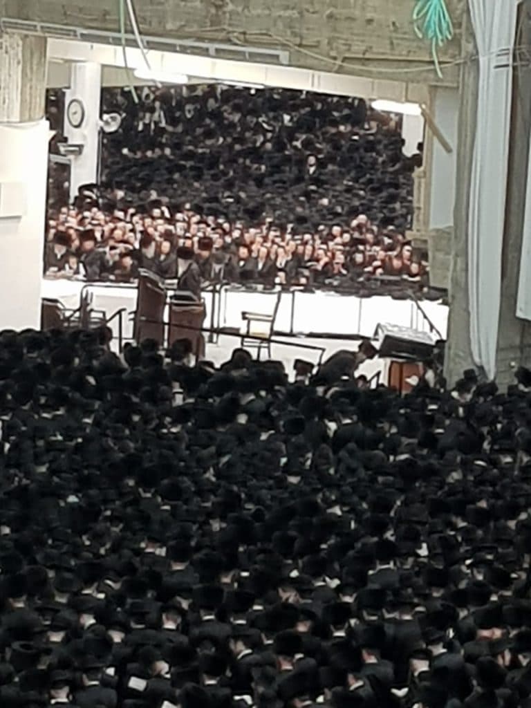 צפו: אלפים בבית המדרש גור