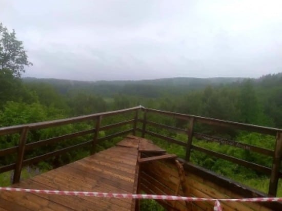 חדשות מהעולם: צוללן נבלע על ידי לוויתן ושרד