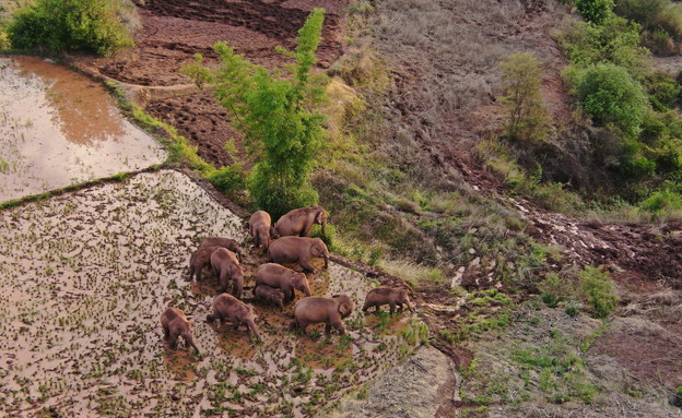 הפתק ששרד 95 שנה בתוך בקבוק בנהר • כותרות מהעולם הפתק ששרד 95 שנה בתוך בקבוק בנהר • כותרות מהעולם