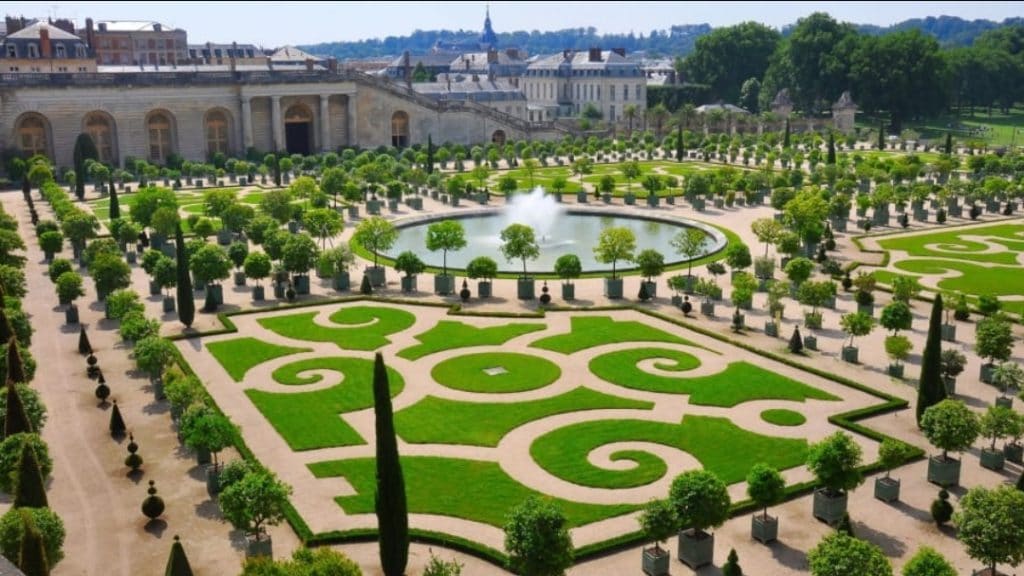 את החתול המהיר בעולם כבר ראיתם? תמונות מהעולם