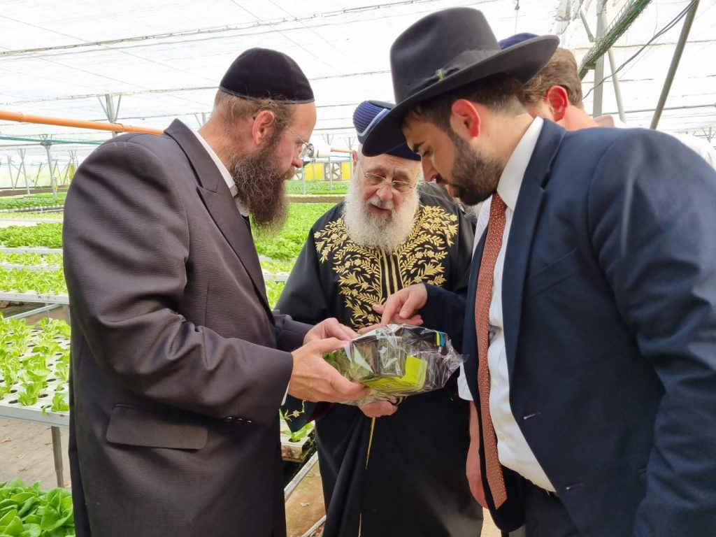 הראשל"צ והגר"י אפרתי בסיור מיוחד במשתלות עצים לקראת השמיטה