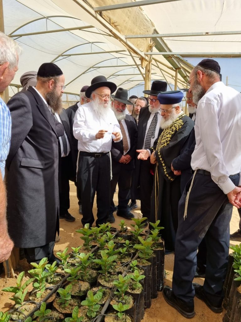 הראשל"צ והגר"י אפרתי בסיור מיוחד במשתלות עצים לקראת השמיטה