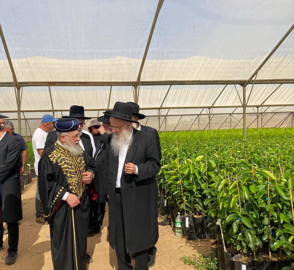 הראשל"צ והגר"י אפרתי בסיור מיוחד במשתלות עצים לקראת השמיטה