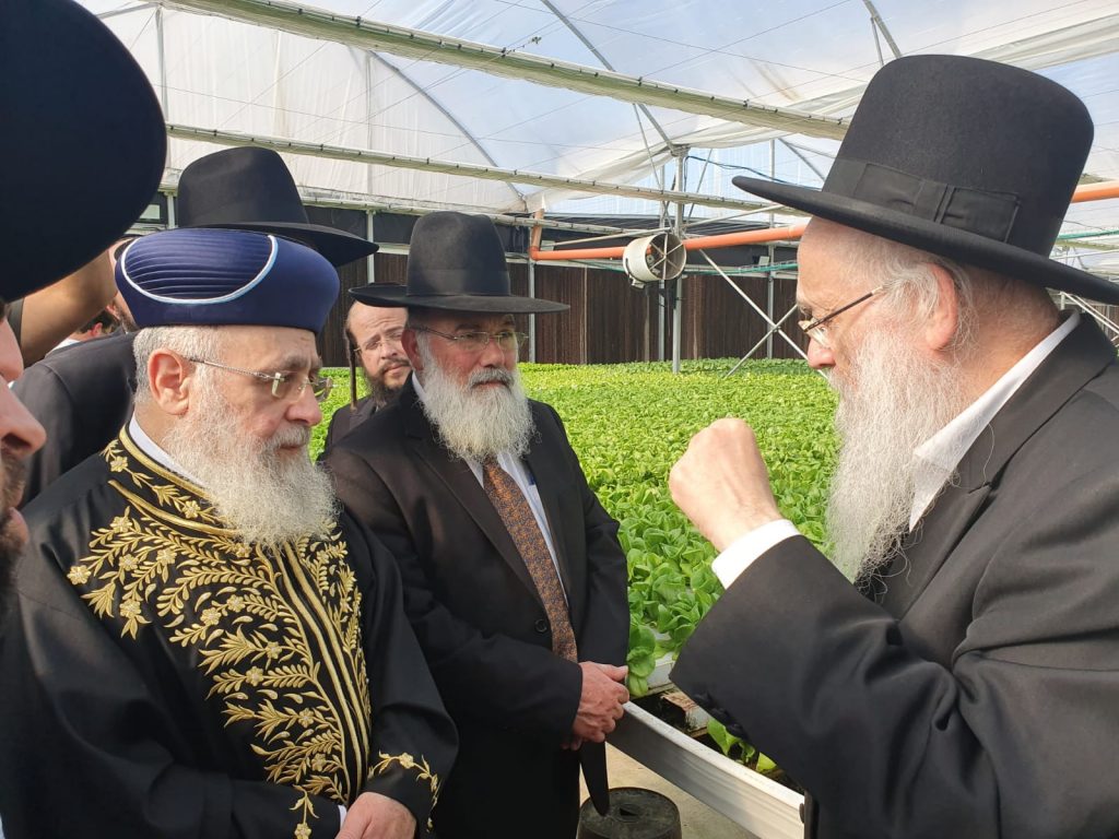 הראשל"צ והגר"י אפרתי בסיור מיוחד במשתלות עצים לקראת השמיטה