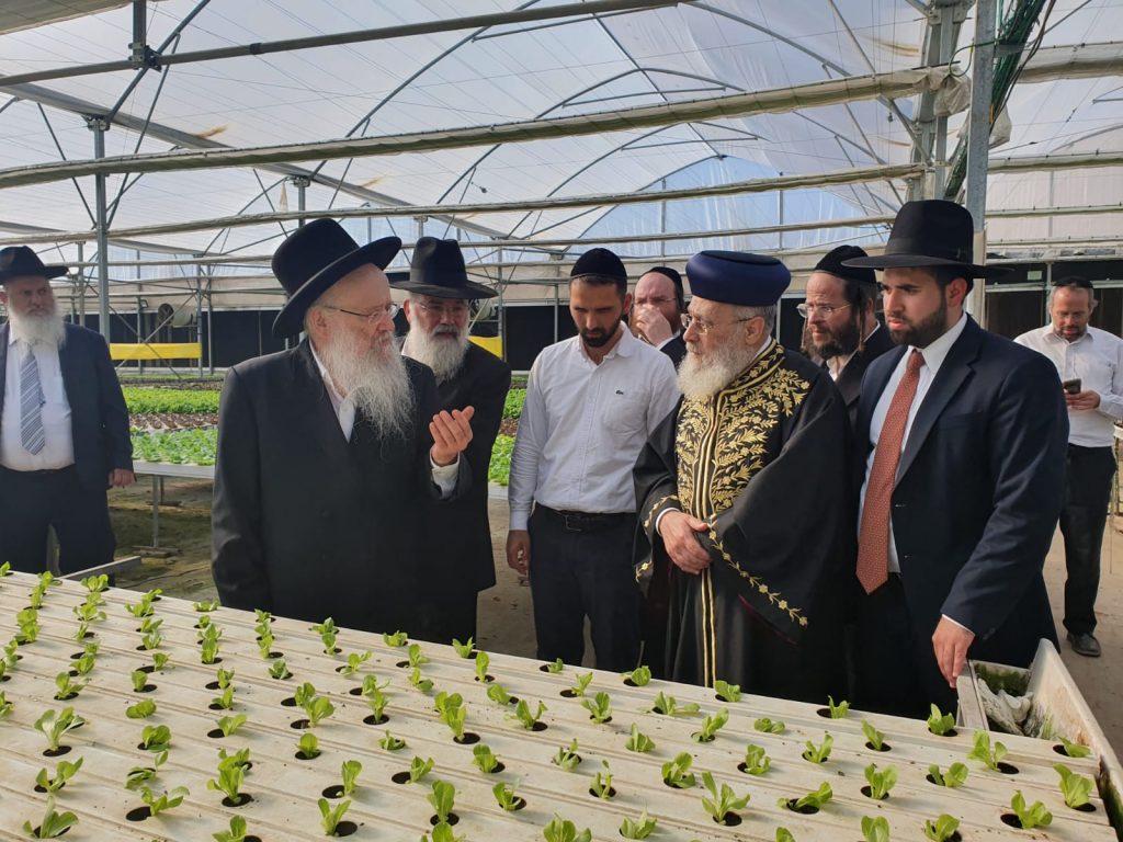 הראשל"צ והגר"י אפרתי בסיור מיוחד במשתלות עצים לקראת השמיטה