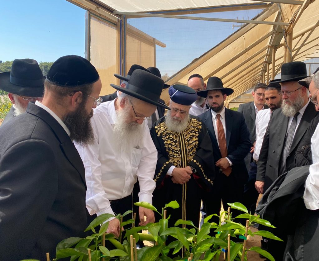 הראשל"צ והגר"י אפרתי בסיור מיוחד במשתלות עצים לקראת השמיטה