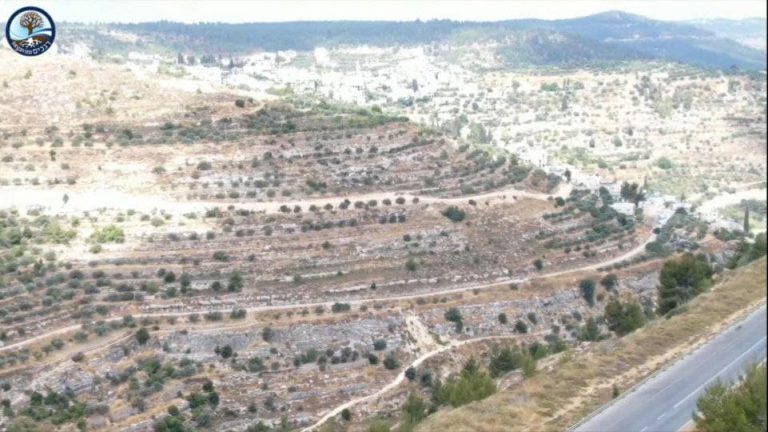 השתלטות בזמן אמת: הרשות הפלסטינית "חונקת" את הר גילה