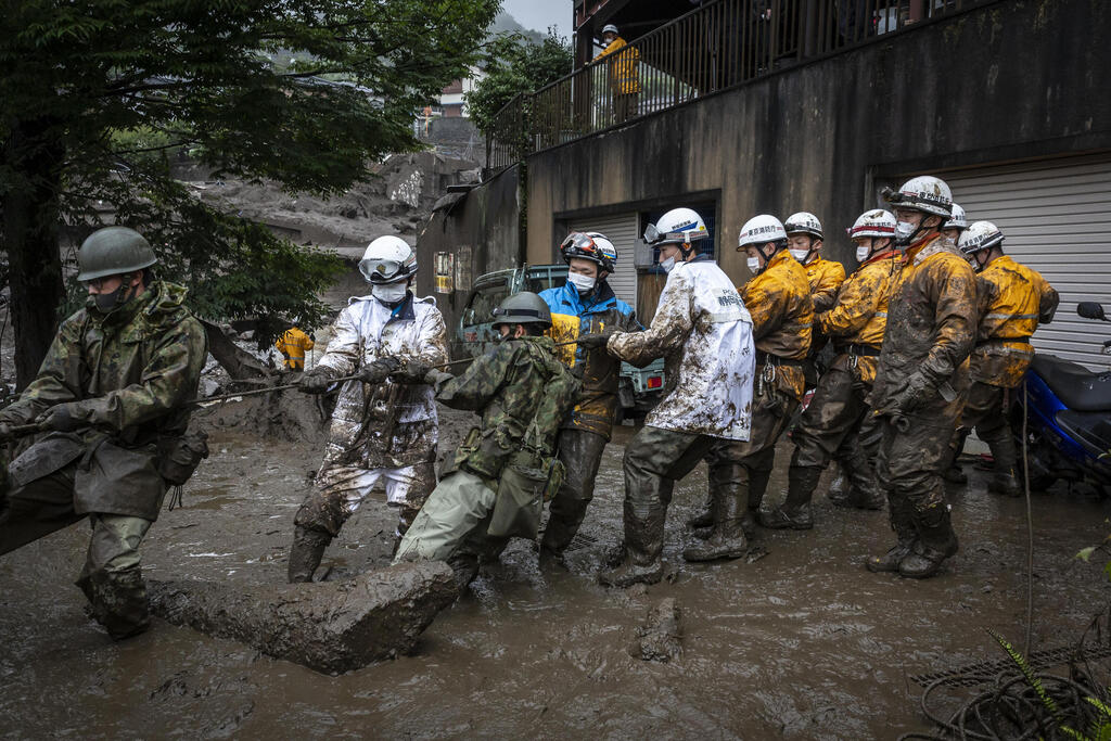 חדשות מעיתוני העולם: תאו שיכור, כלב על הצוק, ופרה גמדה