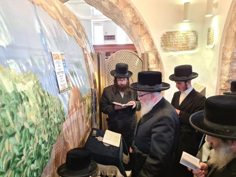 צפו: בן האדמו"ר מסקווירא בתפילה בקבר רחל