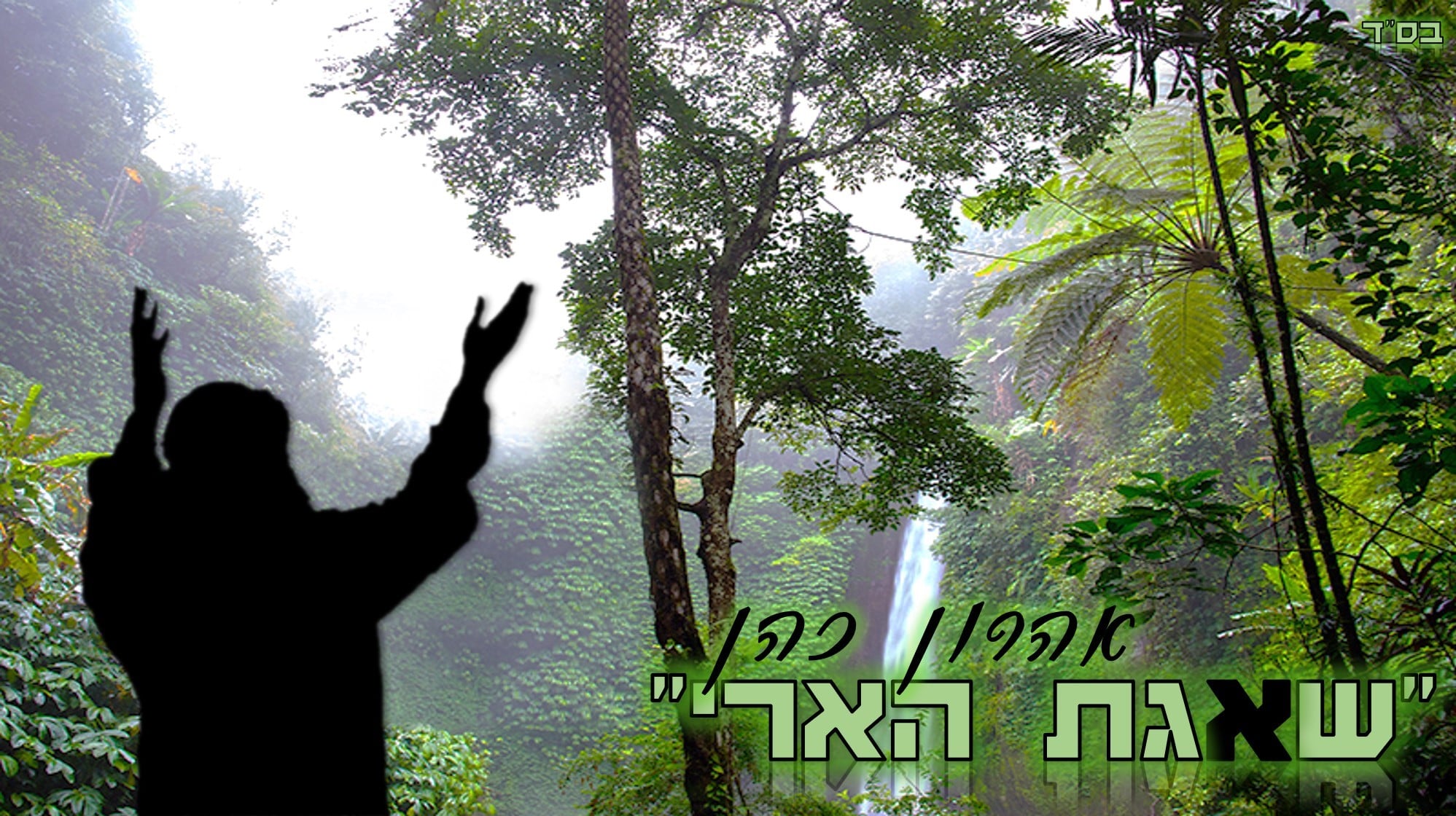 > אהרון כהן - 