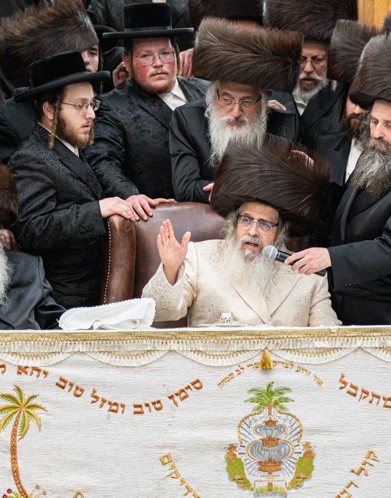 האדמו"ר מסאטמאר / צילום: באדיבות המצלם