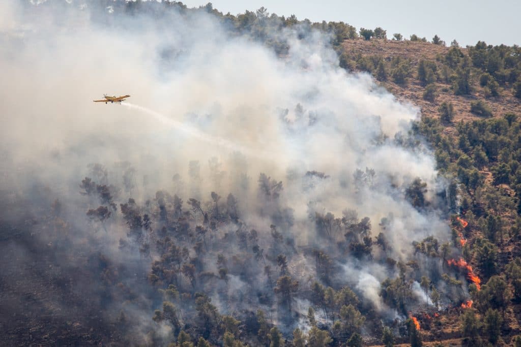 שריפת ענק בהרי ירושלים: תושבי 6 יישובים פונו