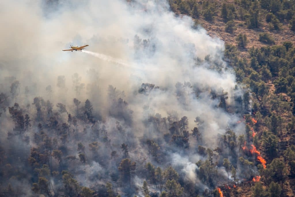 שריפת ענק בהרי ירושלים: תושבי 6 יישובים פונו