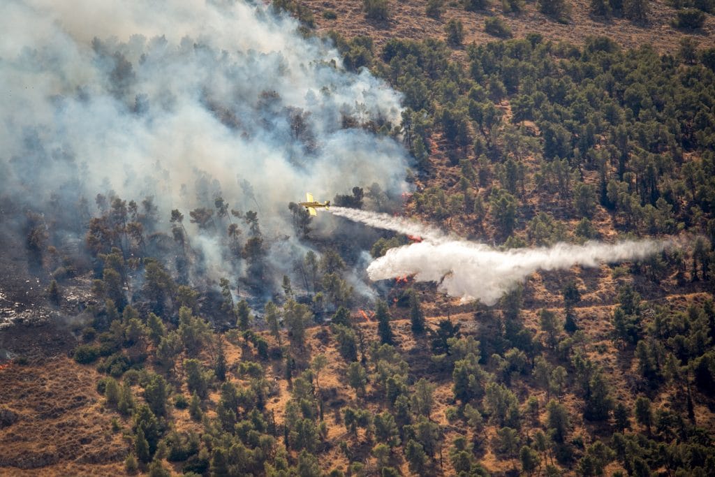 שריפת ענק בהרי ירושלים: תושבי 6 יישובים פונו