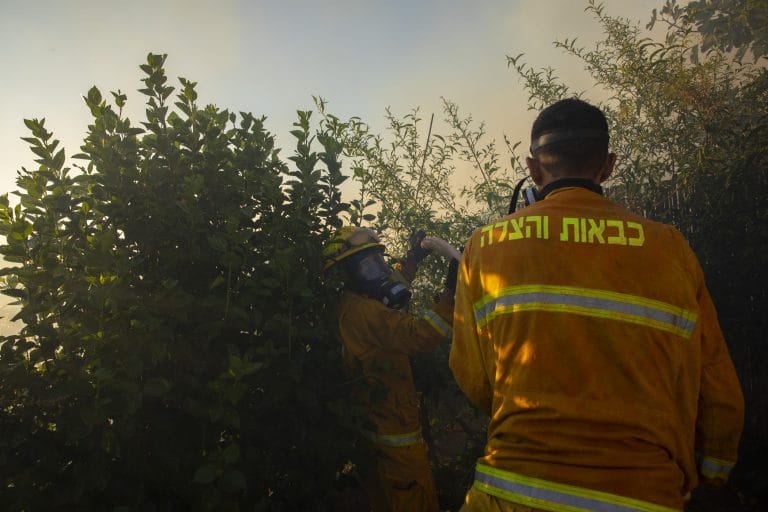 השריפה בהרי ירושלים: האש נבלמה; טויטו: מדובר במעשה ידי אדם