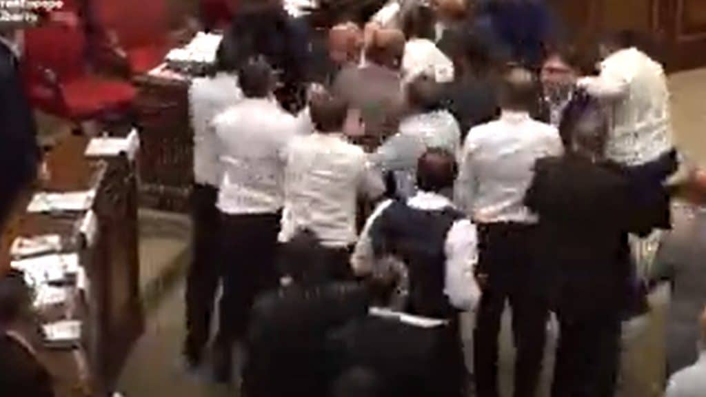 השר שהפך לשליח פיצה, שיטה שתעלים בני אדם מיתושים • חדשות מהעולם