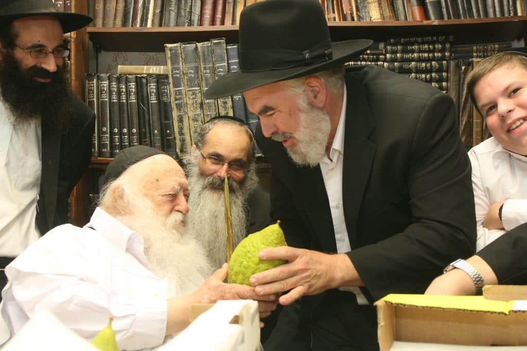 מה מותר ומה אסור? מגדל האתרוגים בשו"ת אצל מרן שר התורה • צפו