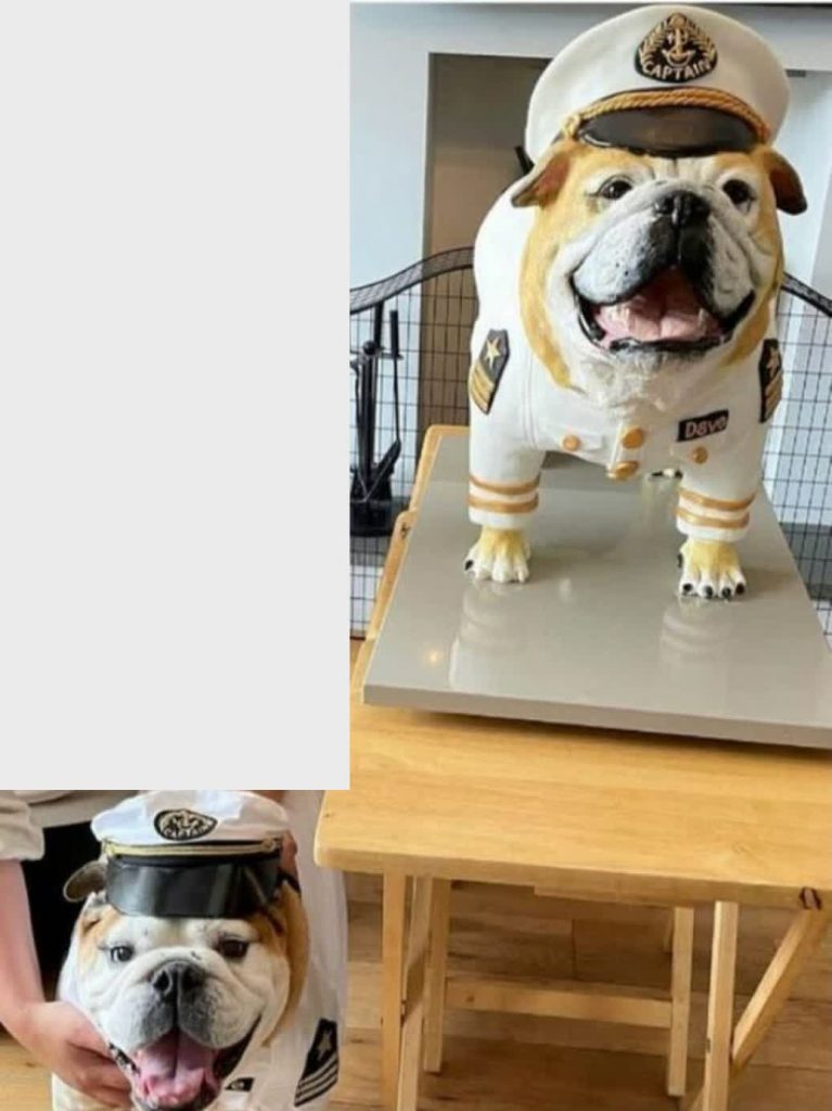 מאפייה בריטית הכינה עוגה זהה לכלב במדוייק