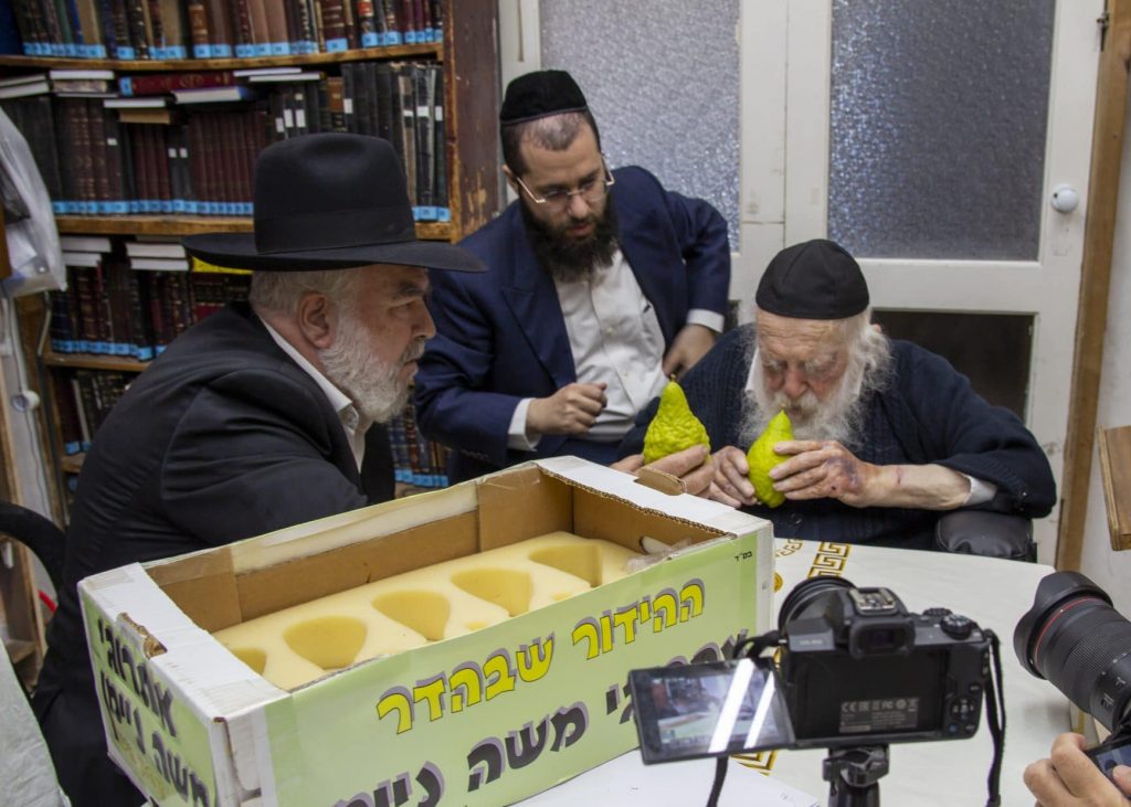 חביבות מצווה: גדו"י ישראל מתפעלים מהאתרוג • גלריה