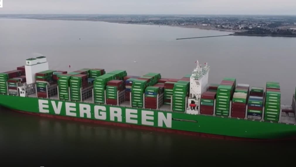 קפצה בחבל 3,000 קפיצות, וחפצים עתיקים בבטן תנין • חדשות ותמונות מהעולם