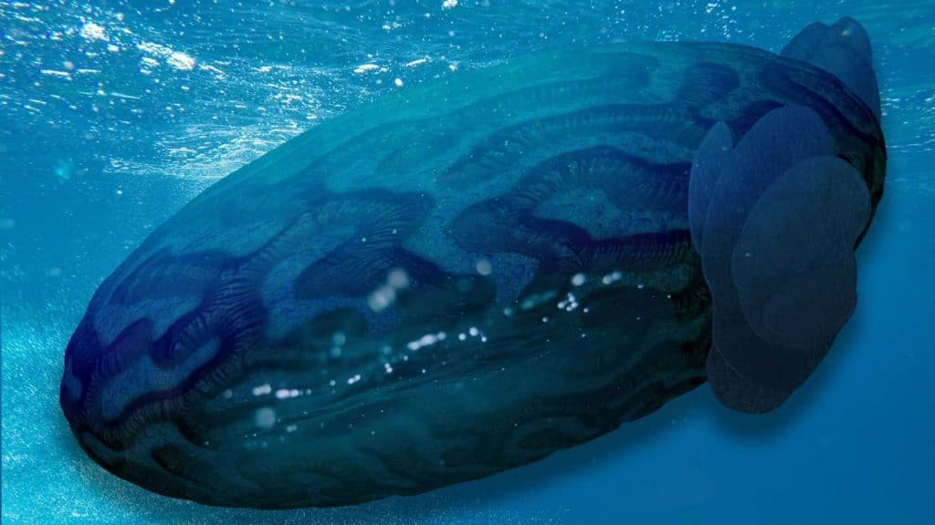 ההורים שביקשו לקרוא לבנם על שם פוטין, והאיש שחנט את אמו בשביל קצבה