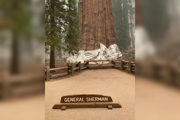 ההורים שביקשו לקרוא לבנם על שם פוטין, והאיש שחנט את אמו בשביל קצבה