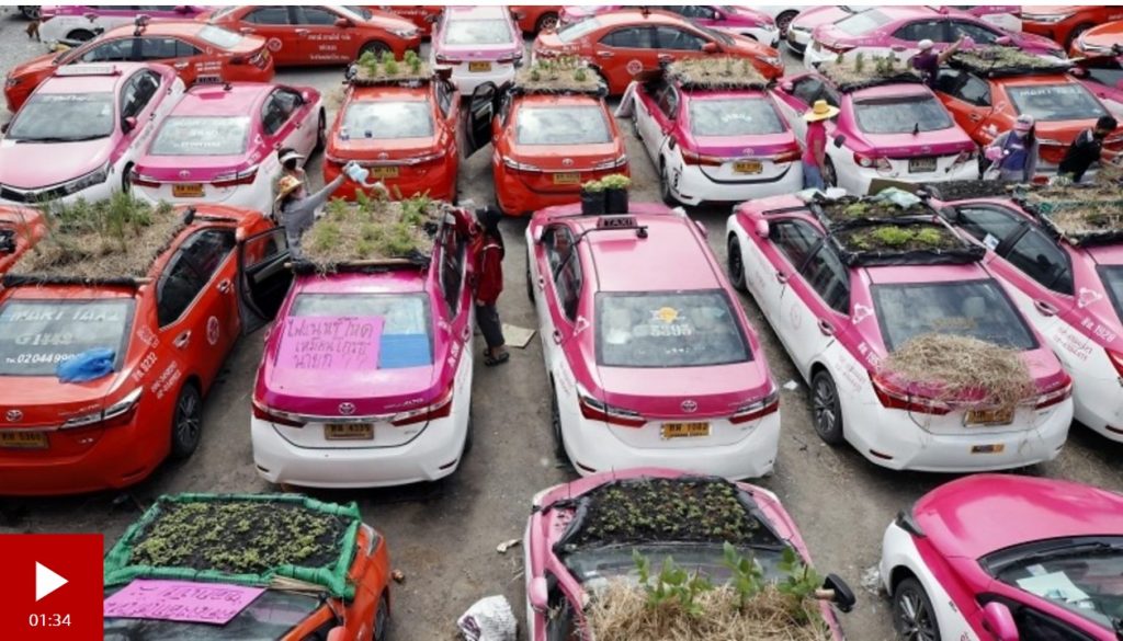 נמצאה הקסדה של נפוליאון • חדשות ותמונות מהעולם