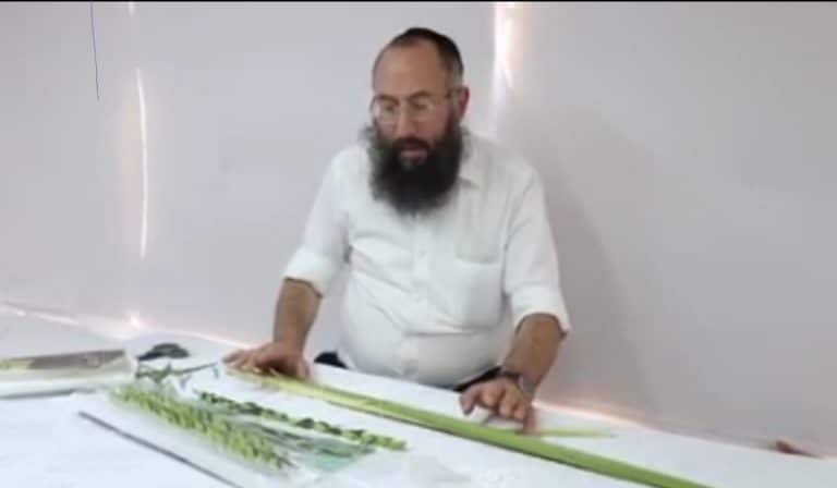 סדר אגידת הלולב: איך עושים את זה נכון