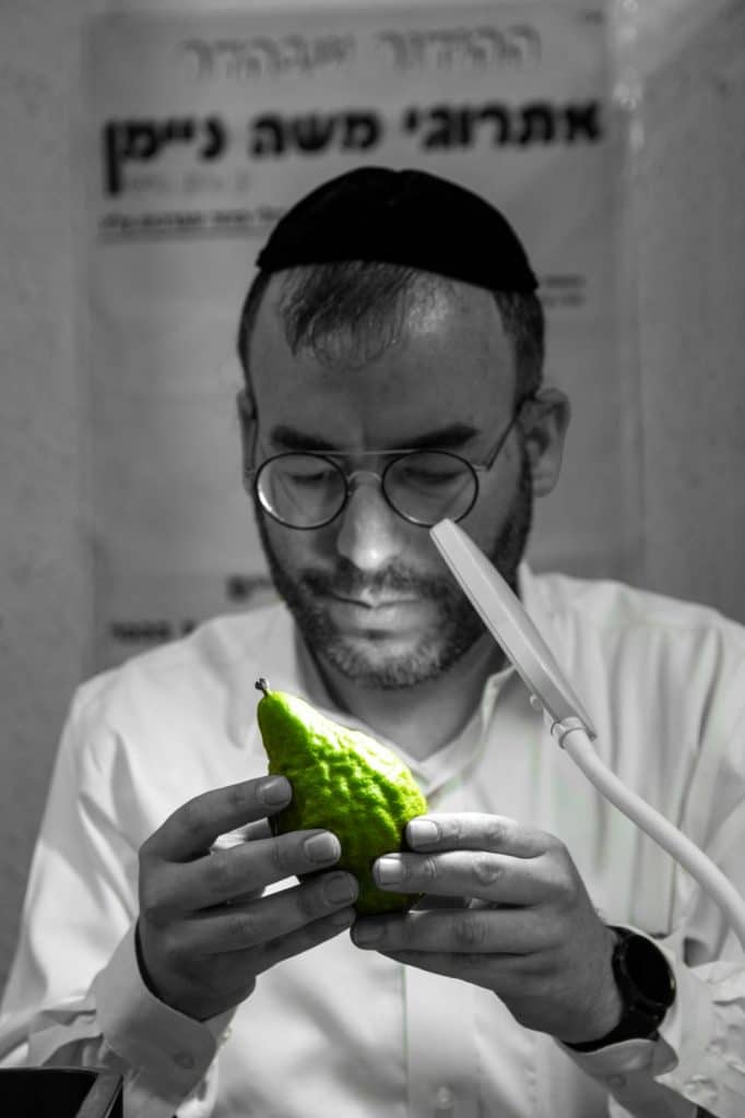 וּלְקַחְתֶּם לָכֶם: מראות ערב חג הסוכות תשפ"ב