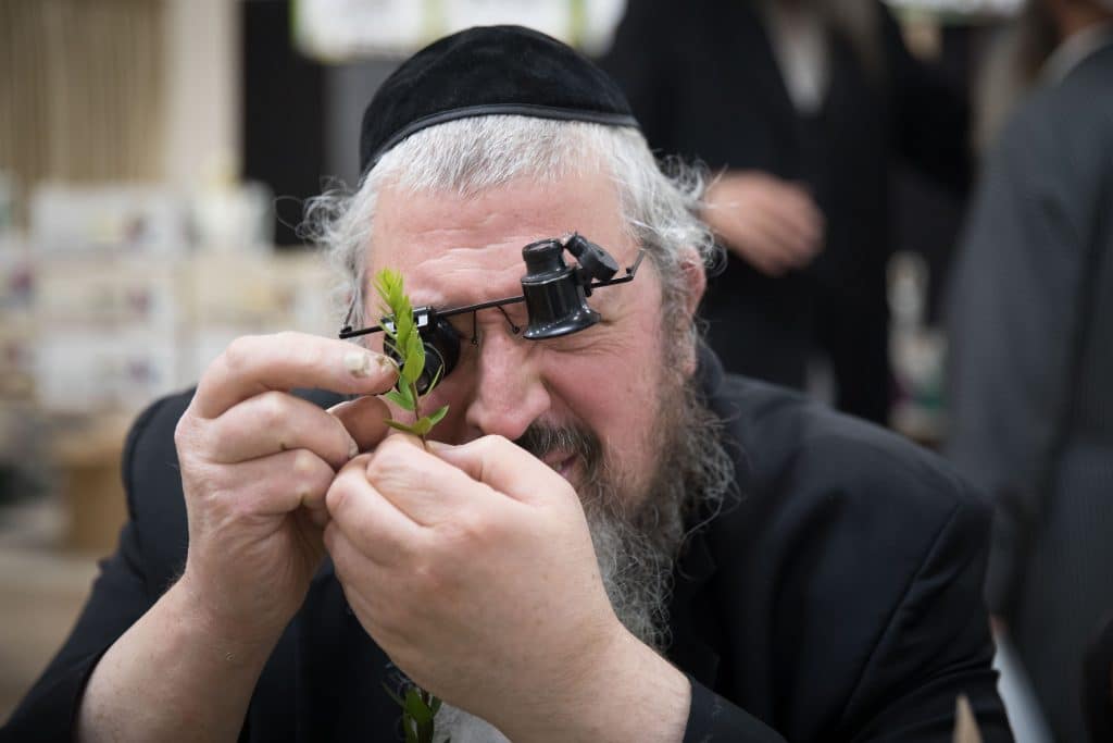 וּלְקַחְתֶּם לָכֶם: מראות ערב חג הסוכות תשפ"ב