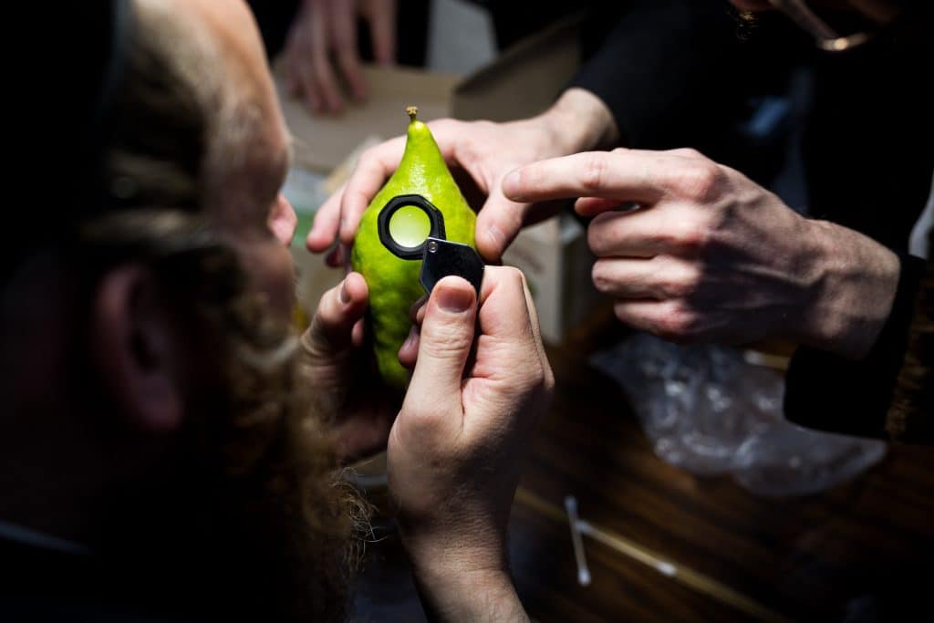 וּלְקַחְתֶּם לָכֶם: מראות ערב חג הסוכות תשפ"ב