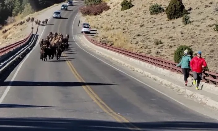 הקדשה של טראמפ נמכרה בסכום עתק, ספינה נמצאה מתחת האדמה • חדשות מהעולם