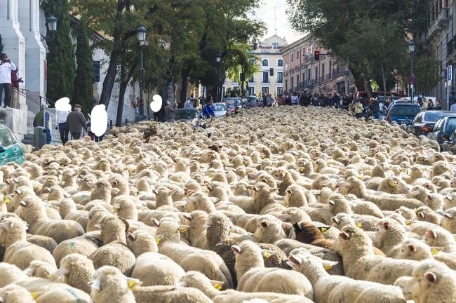 בסין מסירים כיפות והכפר שכל תושביו הולכים על חבל דק • חדשות ותיעודים מהעולם