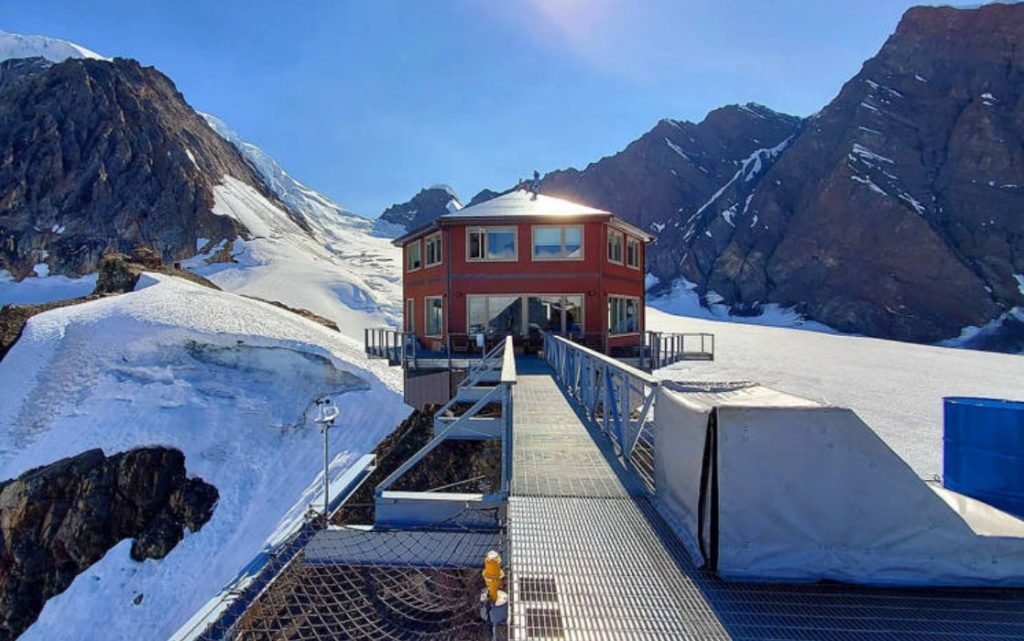 האדם שנקבר עם הרכב לבקשתו, והכלב שהתגלה כשועל • חדשות מהעולם