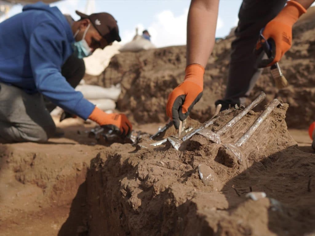 בית קברות ומבנים מתקופת הסנהדרין התגלו ביבנה